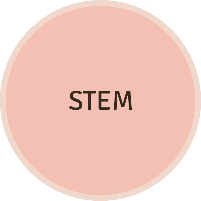 stem button